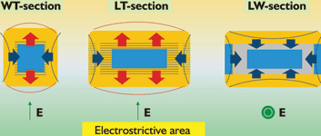 Figure 3. Effects of electrostriction.